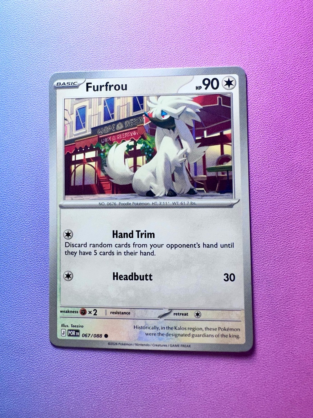 furfrou - 067/088 (common) — pokemon: perfect order